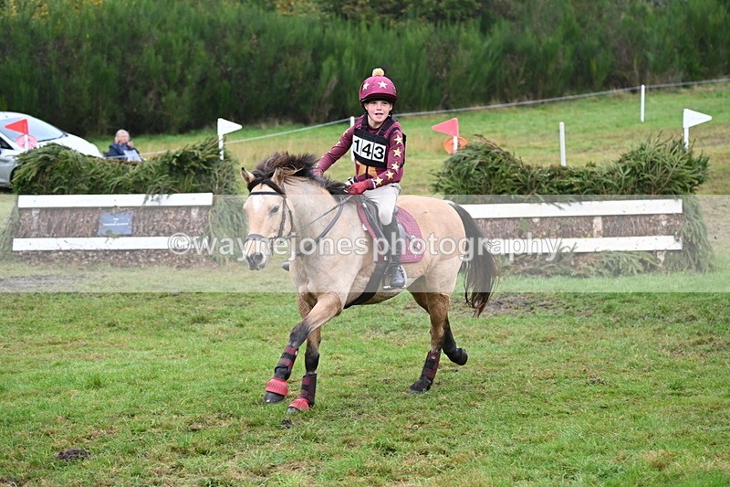 WJ6_2487 - 80cm Cam 1 Time 11:23 to 12:04