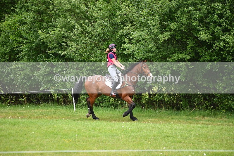 WJ5_5165 - Time 12:04 to 13:05