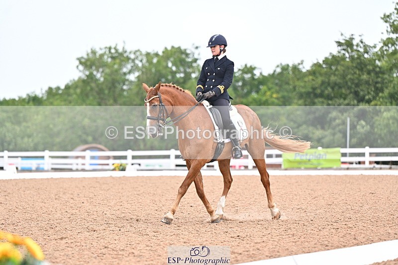 240815A-140034-01730 - 170-India.John-Grayswood.Orlando