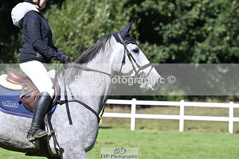 250831A-145707-10749 - Cls 38 5 Year Old Final