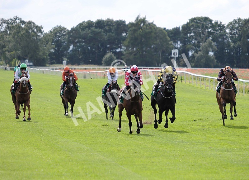 260724-Race 5-Etoile dAlexandre-01 - Race 5