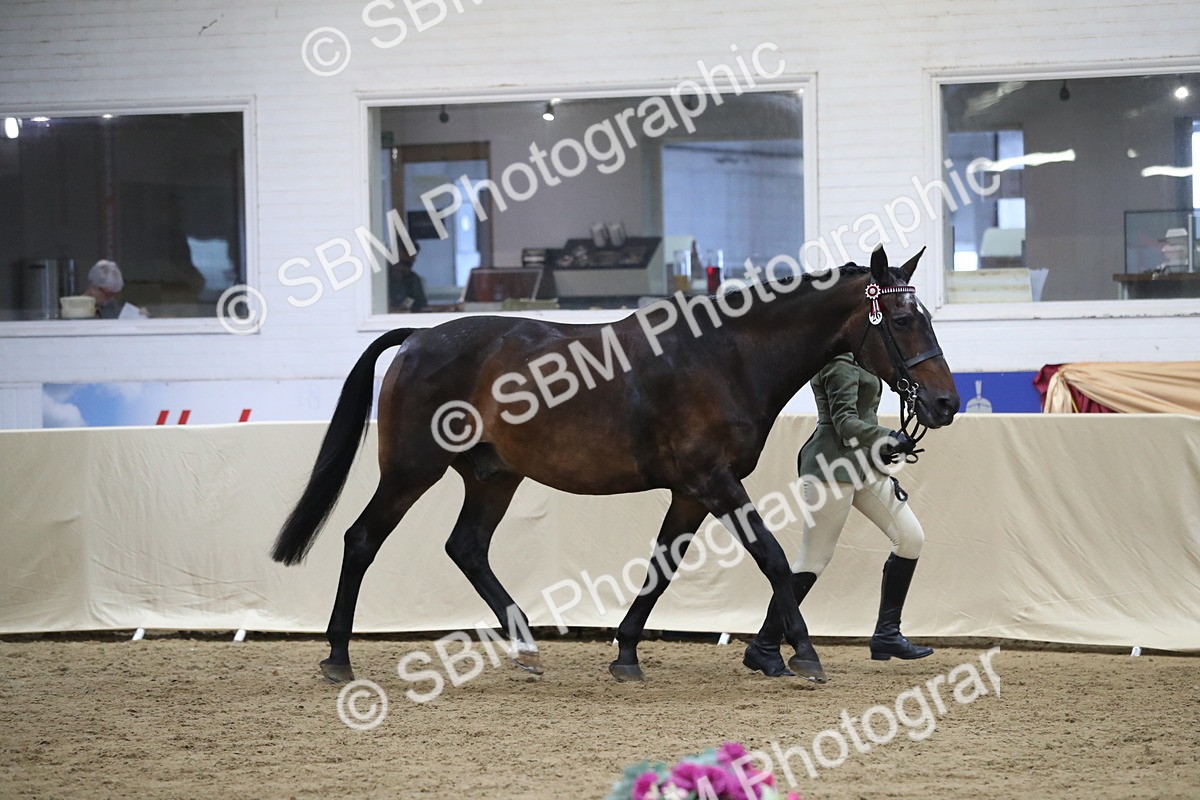 SBM_07328 - Class 10R Regional Ridden Diamond