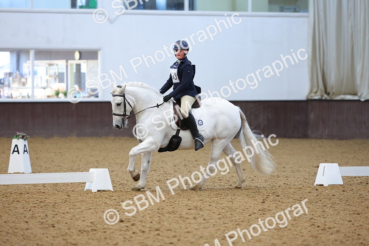 SBM_004278 - Intermediate