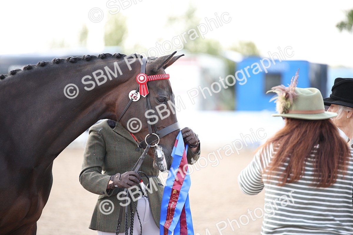 SBM_07131 - Class 25 IH Foreign Breeds- Pure bred