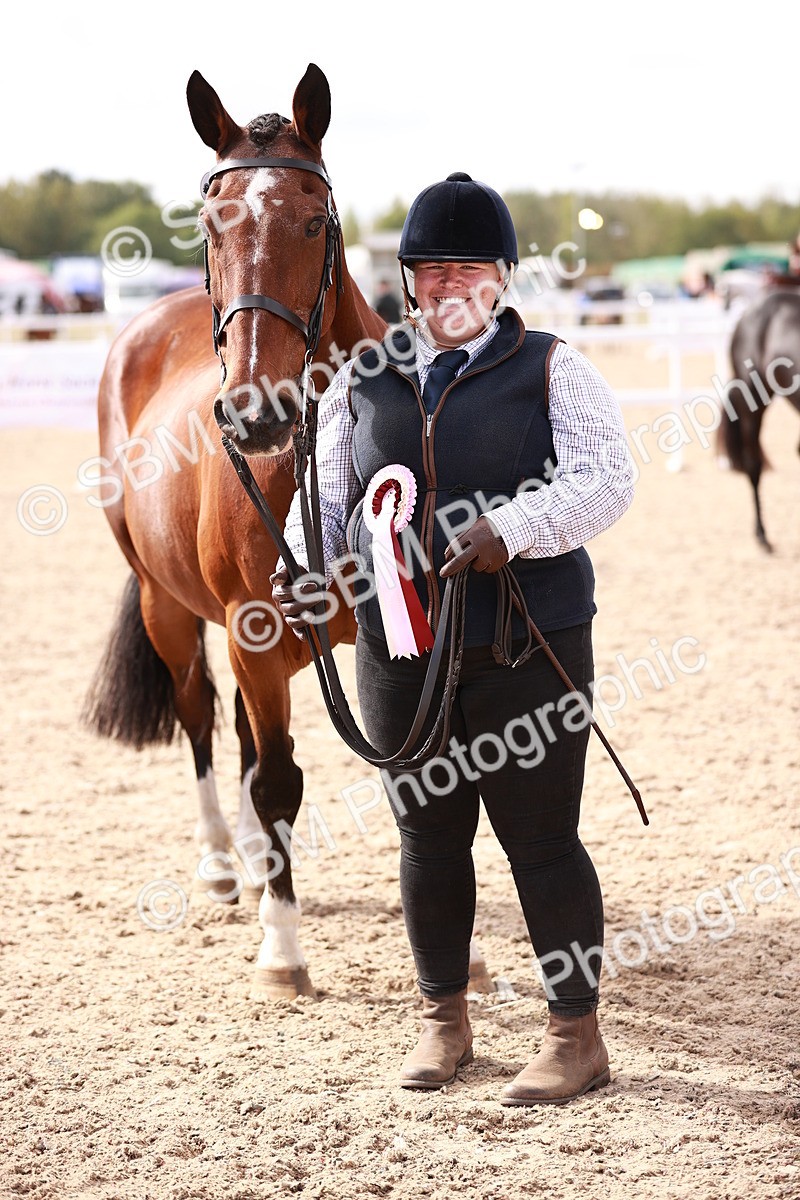 SBM_13364 - class 406 - IH Hunter