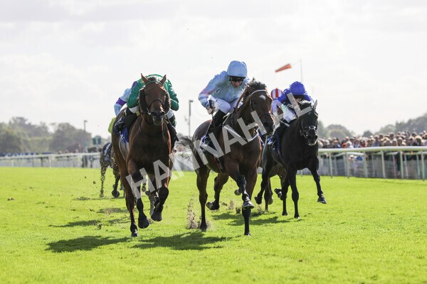 yr08102022r2-26 - Race 2 2.05pm The Coral Rockingham Stakes