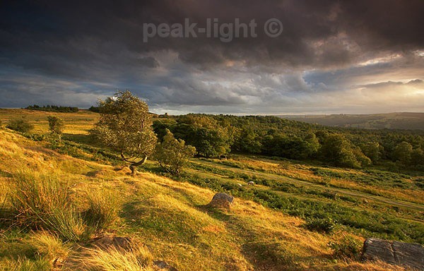 Light over Longshaw - Peak District
