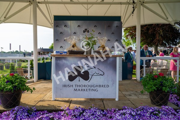 170524-Race 7-Jubilee Walk-9149 - Race 7 5.20pm Irish Thoroughbred Marketing Handicap