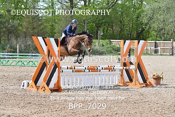 BPP_7029 - CLASS 5 FRI Veterans Show Jumping
