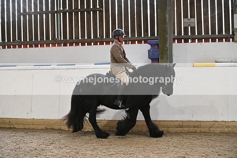 WJ7_4491 - Afternoon Champs