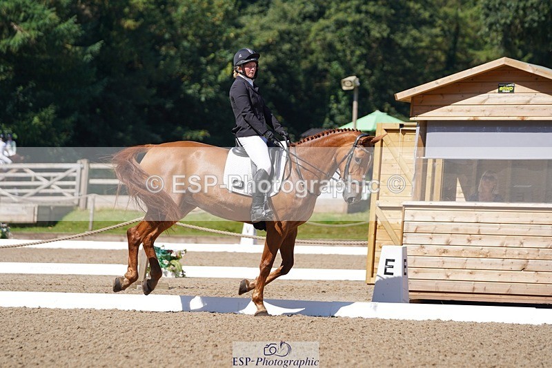 240719-102820-00559 - 204-Alana_Shapland-Forever_autumn_DS