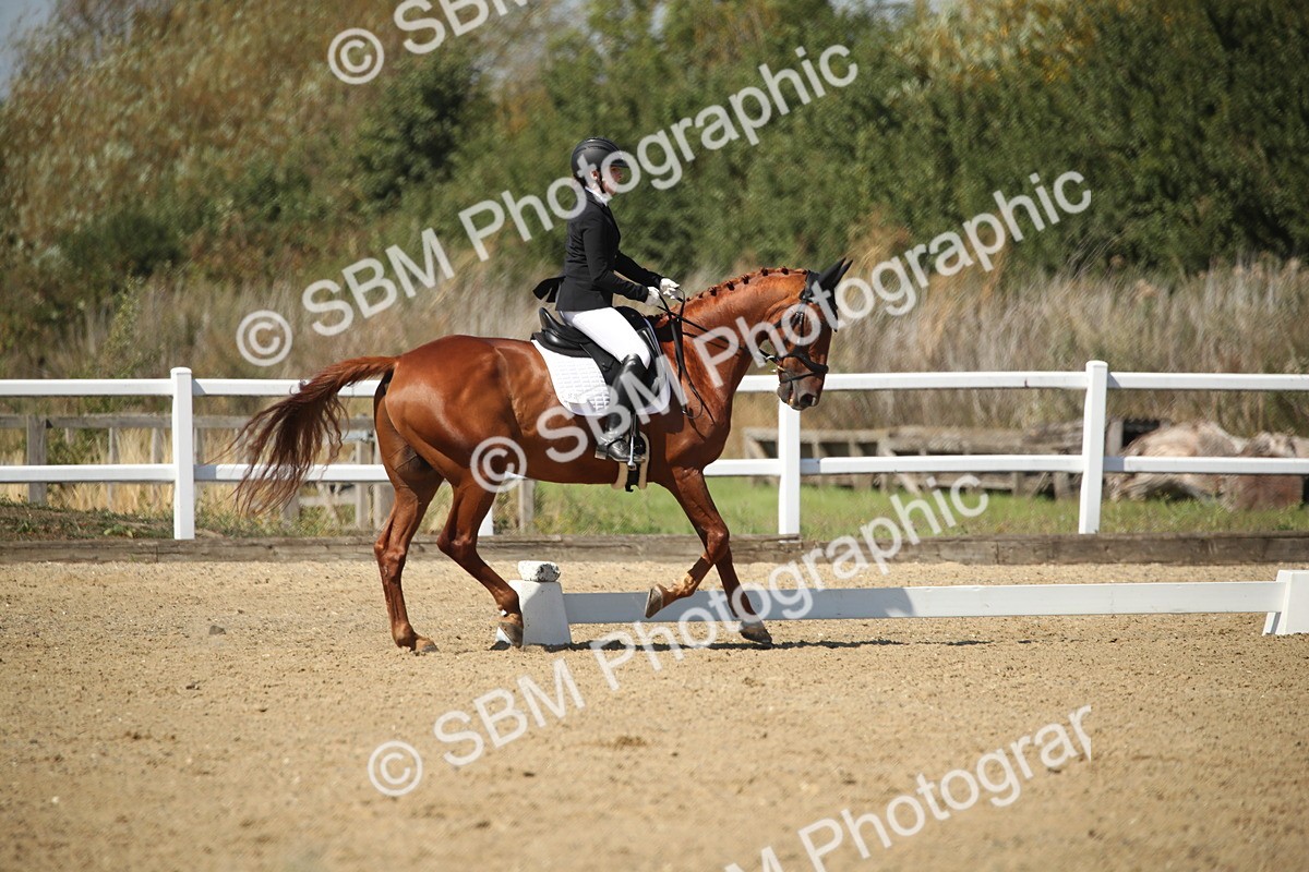 SBM_005120 - Class 11 - Novice 5 - 11.41-12.58