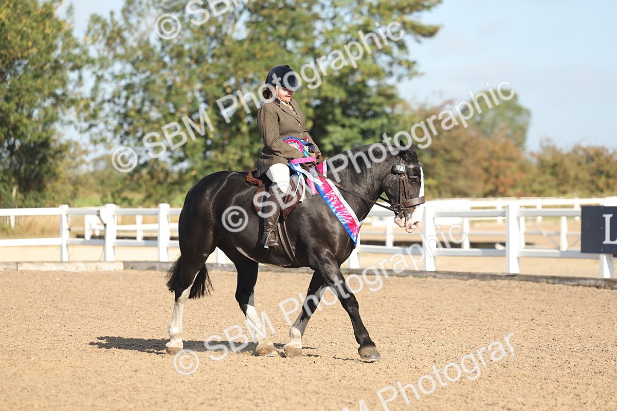 SBM_22259 - Class 802 - Ridden Groom Helpers Class