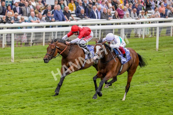 180523-Race 2-Free Wind-7289 - Race 2 2.25pm Al Basti Equiworld Dubai Middleton Fillies' Stakes