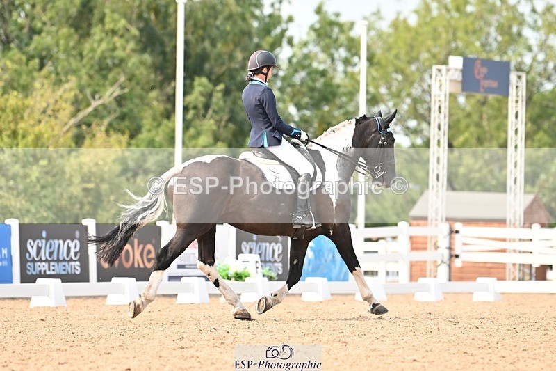 250816-153533-05900 - 037-Alys.MatraversTiger.Mazariti