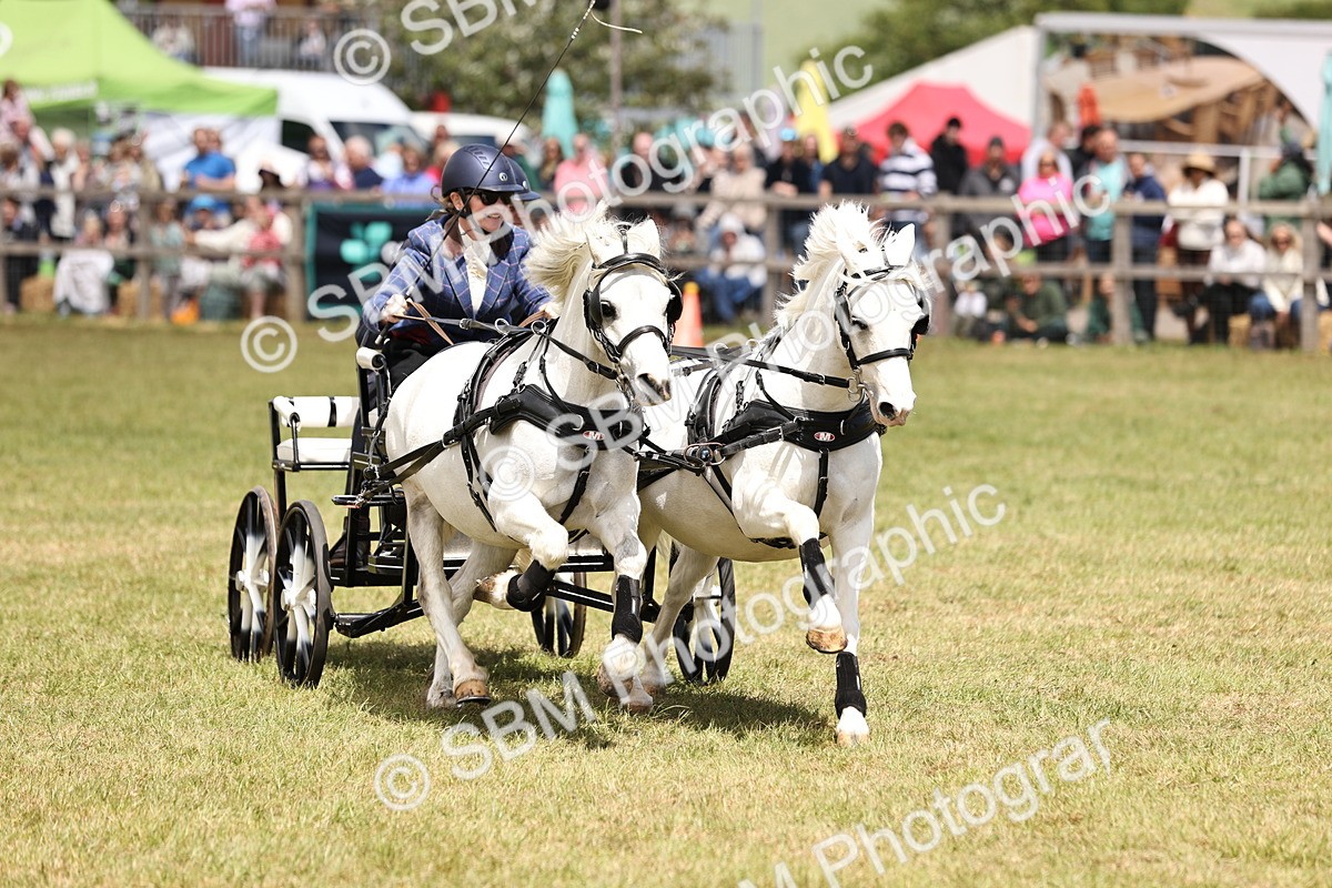 SBM_15208 - Class 90 - Scurry 122cm and Under