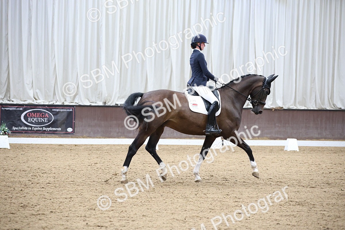 SBM_003373 - Class 5 - Novice 6 Gold - 13.05-14.00