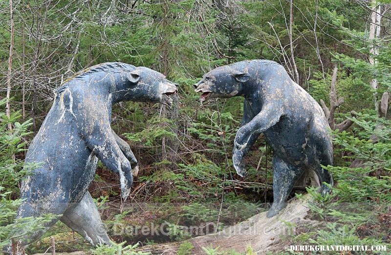 Animaland Sussex New Brunswick Canada - Animaland