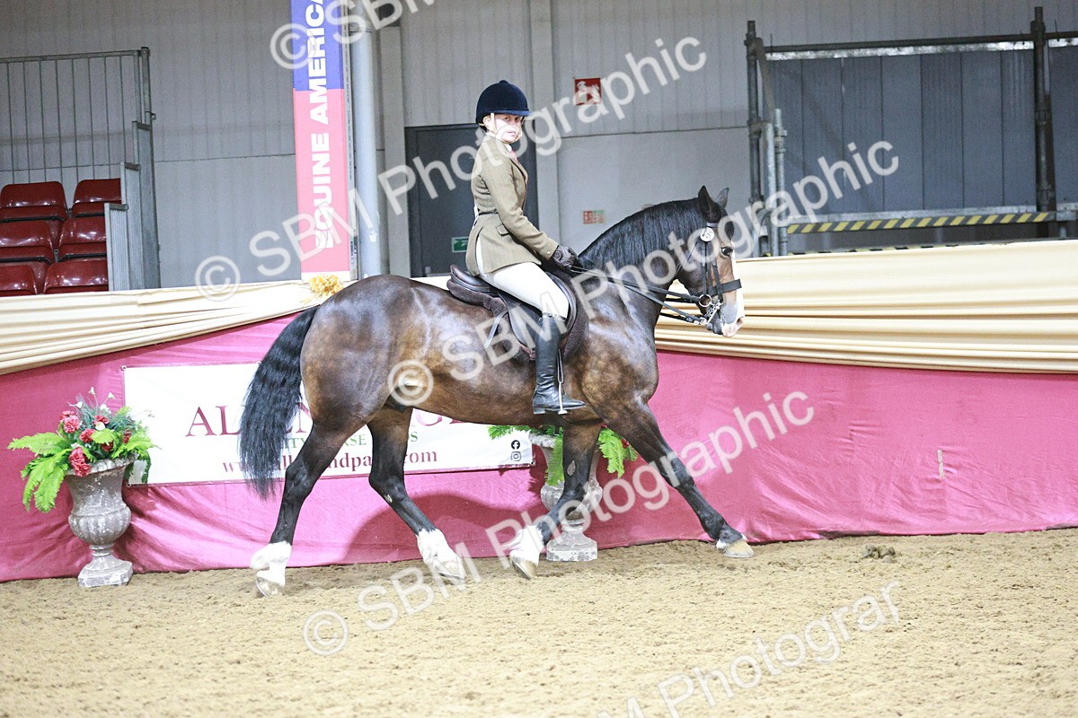 SBM_03341 - Class 6A Area Ridden Pre-Vet