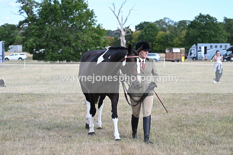 WJ7_8310 - In-hand Championship
