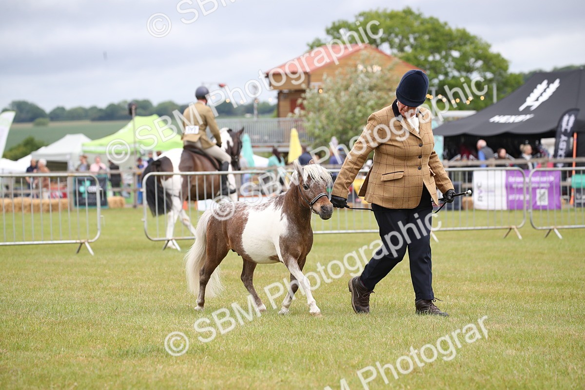 SBM_03796 - Class 23-25 - British Miniature Horse of the Year