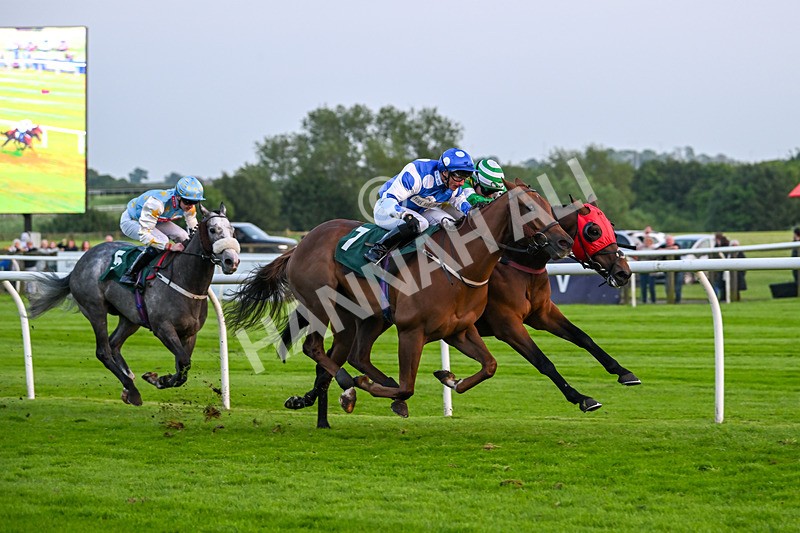 310524-Race 6-Mister Sox-9058 - Race 6