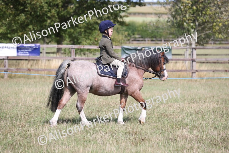 20260906-2551 - Class 18 - Childs First Pony