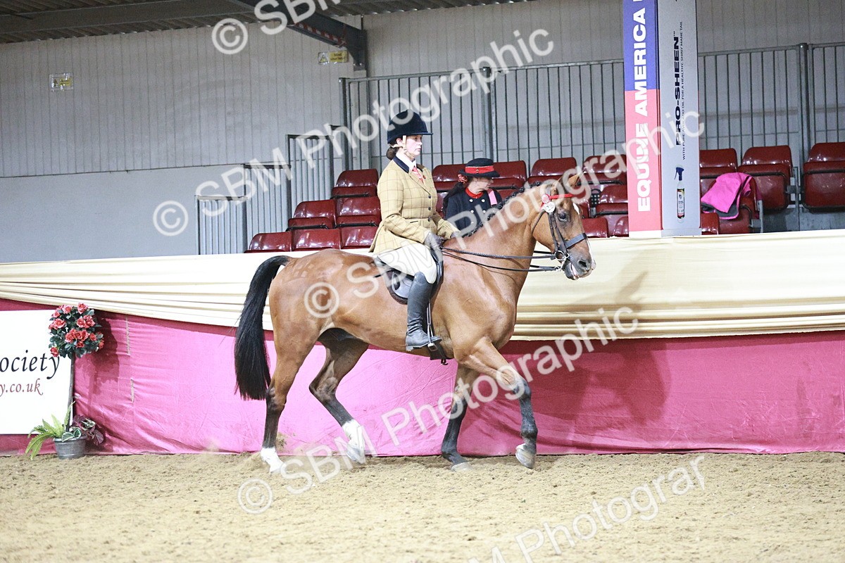 SBM_08011 - Class 11R - Regional Ridden Veteran