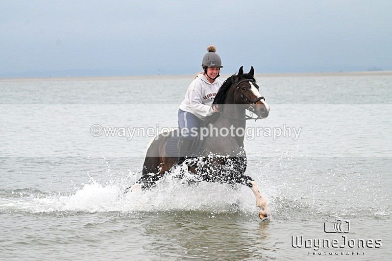 WJ7_9947 - Hayling Island Beach Shoot 22-09-24