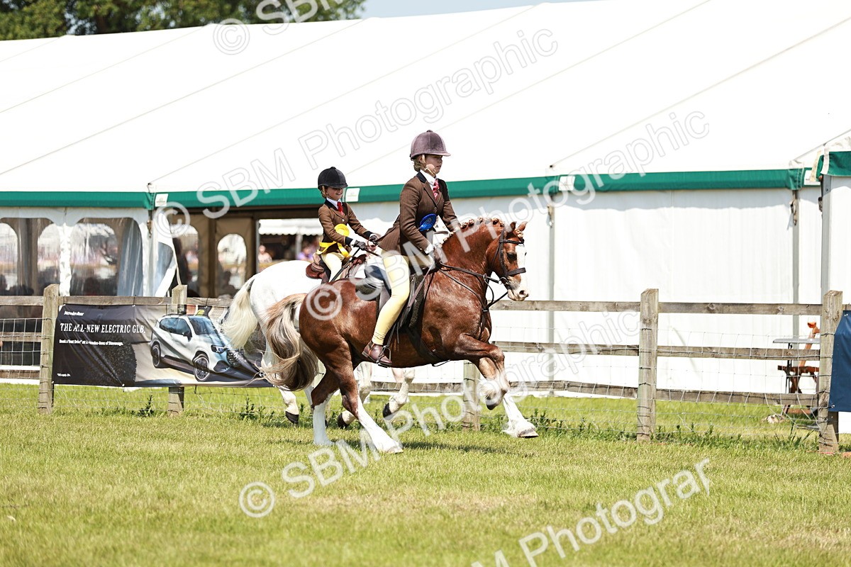 SBM_15753 - Class 108-109 - BSPS LIHS Open Gradle & Nursery Stakes