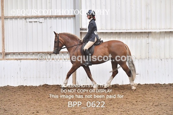 BPP_0622 - RING 2