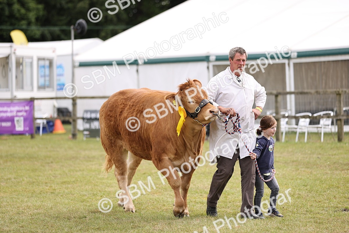 SBM_16912 - Grand Parade
