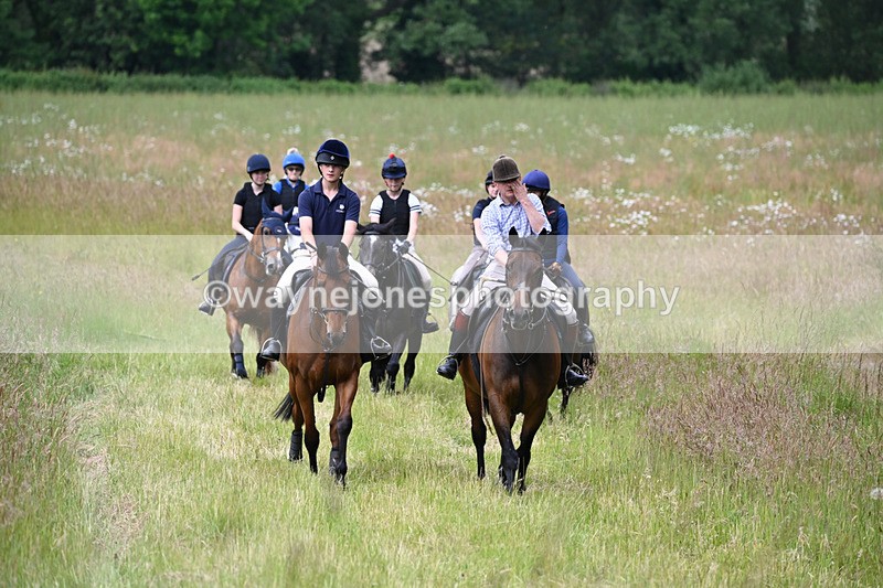 WJ6_7865 - Camera 1 Gallops