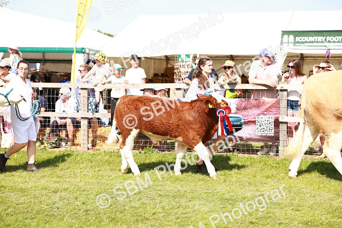 SBM_08356 - Grand Parade