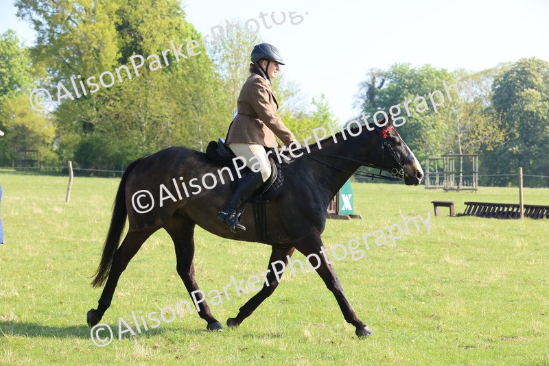 20250427-0547 - Class 17 - Novice Showing