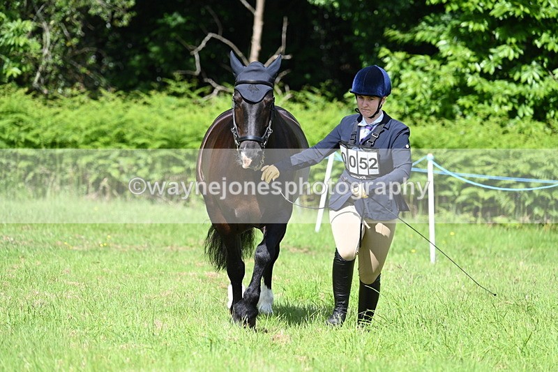WJ7_1131 - Class 11 Condition & Turnout