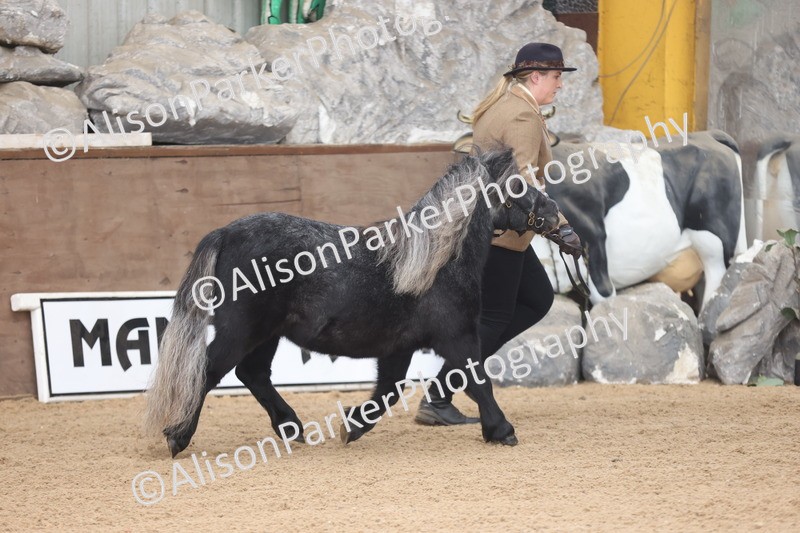 20251109-0023 - Class 3 - 2 and 3 Year Old