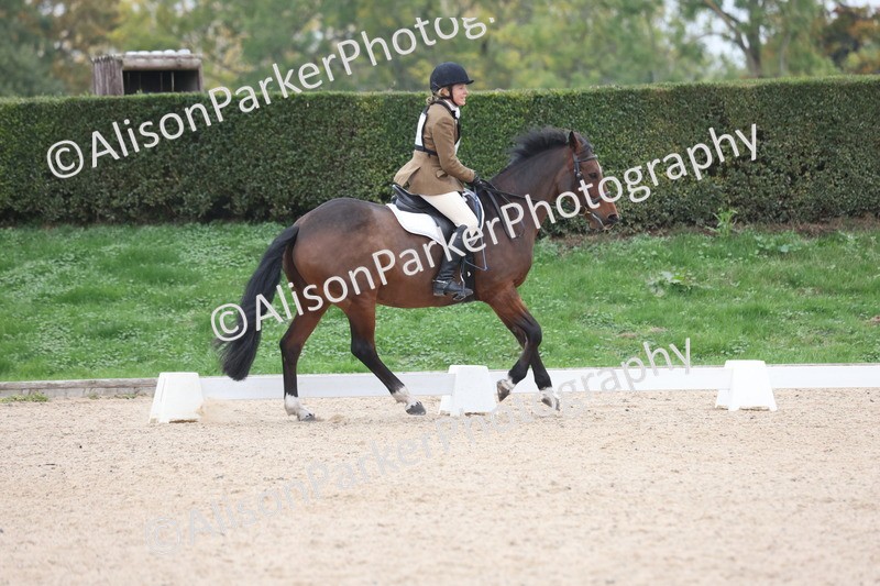 20251011-0515 - Class 5 - Novice 3