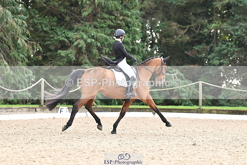 251023A-111442-01186 - C-227-Tarka.Abraham