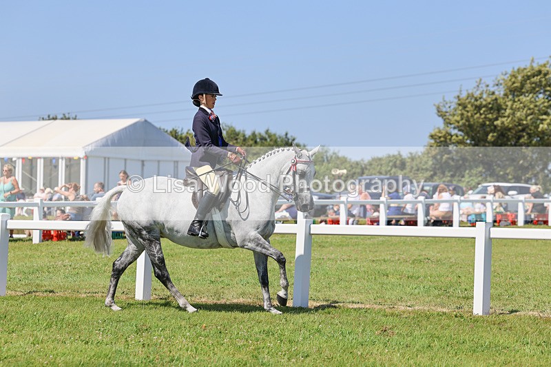 IMG_2129 - Plaited Ridden Championship