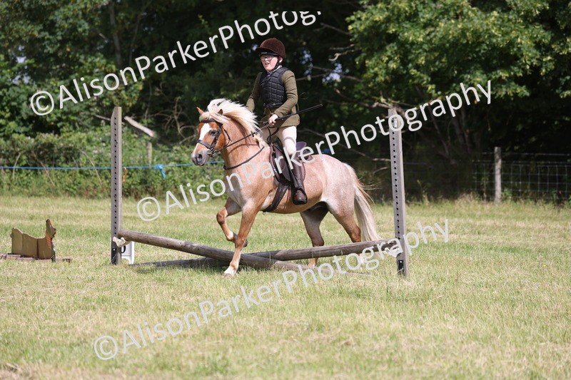 20260614-0748 - Class 20 - Beginners Working Hunter Pony