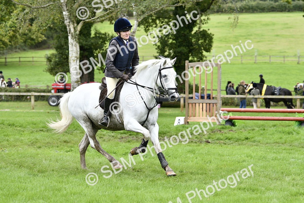 SBM_41319 - S32 - Mountain & Moorland Working Hunter Pony