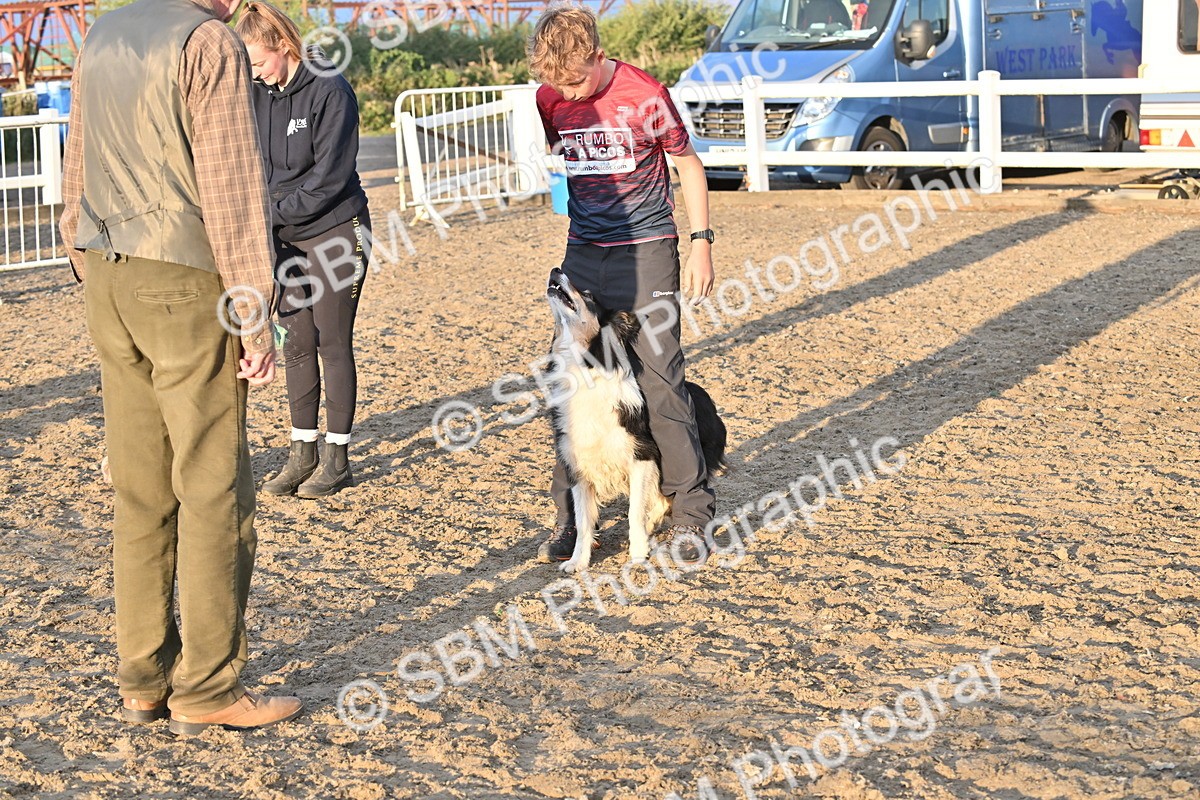 SBM_09648 - Lorry Dogs