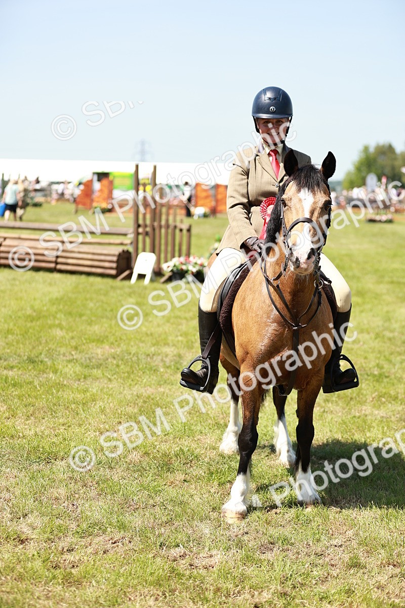 SBM_16413 - Class 110-111 - Training Stakes (70cms 80cms)