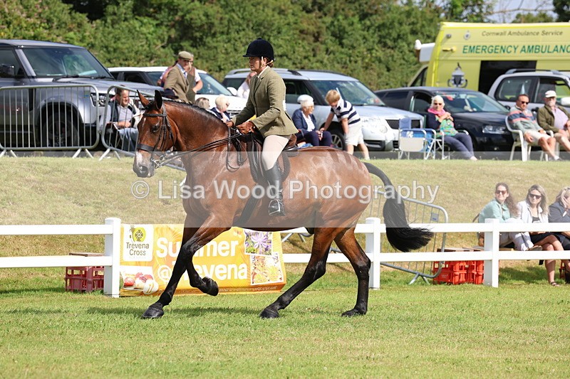 3E7A9343 - Class 4: Rising Star M/H Hunter