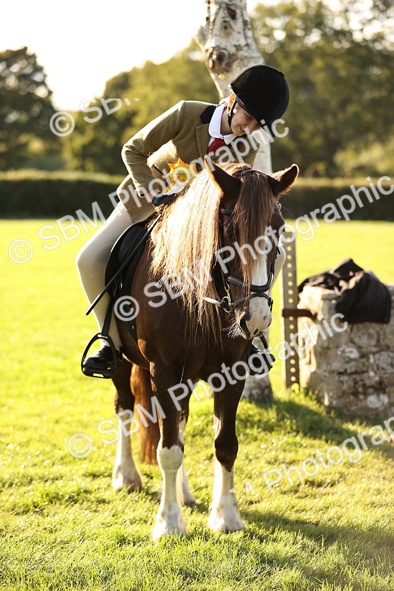 SBM_29509 - S7 - Novice & Newcomers Ridden Pony