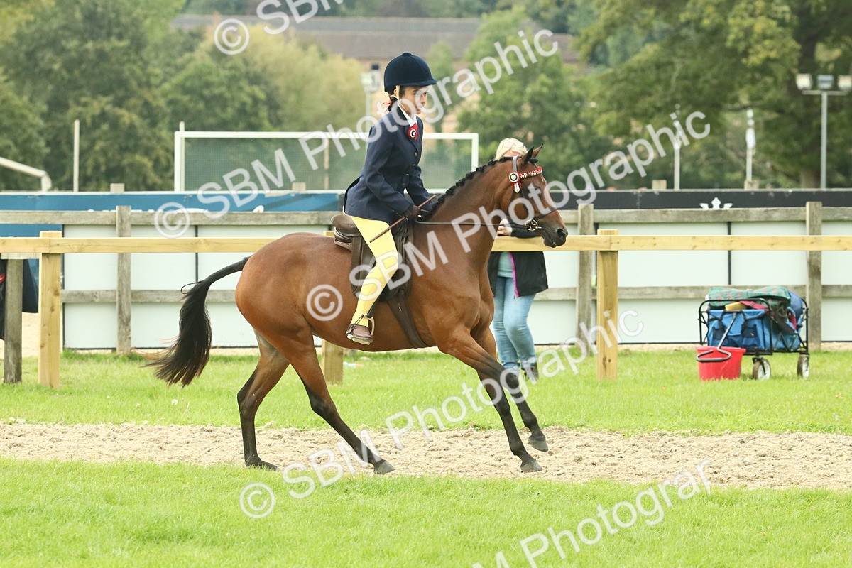 SBM_74041 - S 61 - Show Pony & Show Hunter Pony Ridden