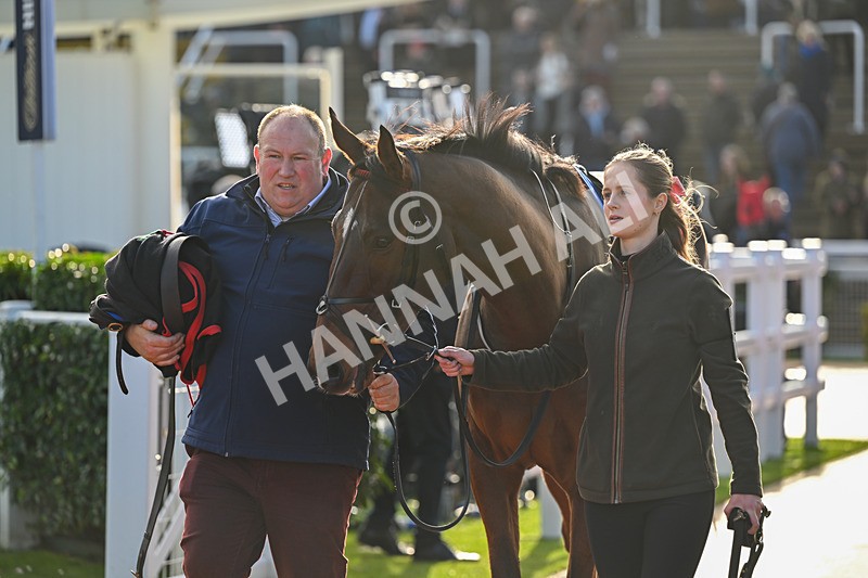 251025-Race 4-Watchful Protector-9015 - Race 4