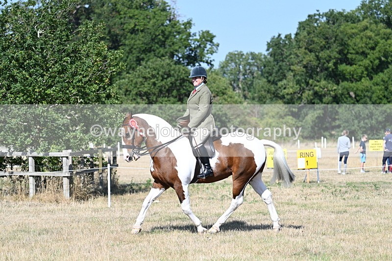 WJ7_3248 - Class 8 Ridden Tack & Turnout