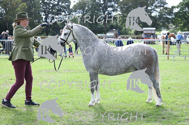 APP_2946 - Class 10a/b M&M in hand